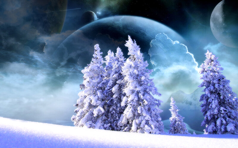 Snow-covered Pine Trees — Blue, Fantastical
