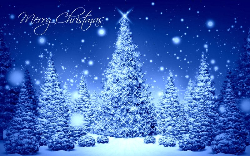 Snow-covered Pine Trees — Blue, Festive