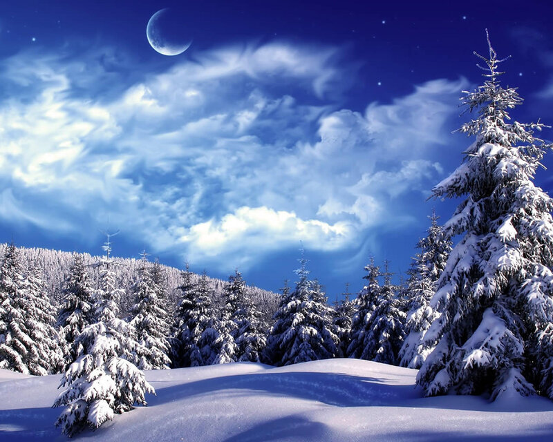 Snow-covered Pine Trees — Blue, Serene, Night, Digital Art, Moon, Clouds, Snow, Forest