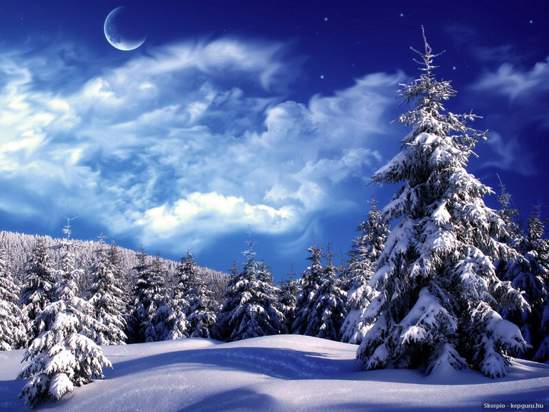 Snow-covered Pine Trees — Blue, Serene, Night, Digital Art, Moon, Clouds, Snow