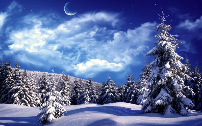 Snow-covered Pine Trees — Blue, Serene, Night, Digital Art, Moon, Clouds, Stars, Snow