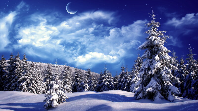 Snow-covered Pine Trees — Blue, Serene, Night, Digital Art, Moon, Clouds, Stars, Snow, White
