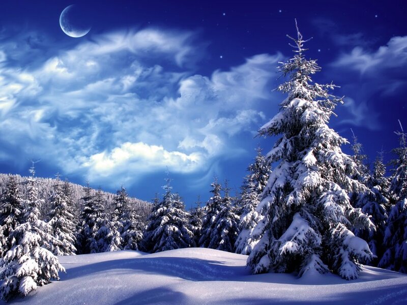 Snow-covered Pine Trees — Blue, Serene, Night, Digital Art, Moon, Clouds, Stars