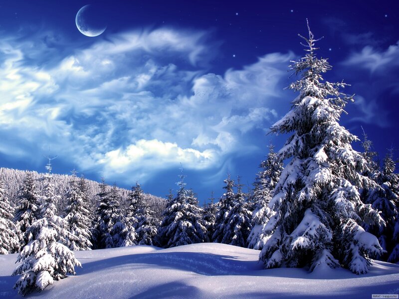 Snow-covered Pine Trees — Blue, Serene, Night, Digital Art, Moon, Clouds