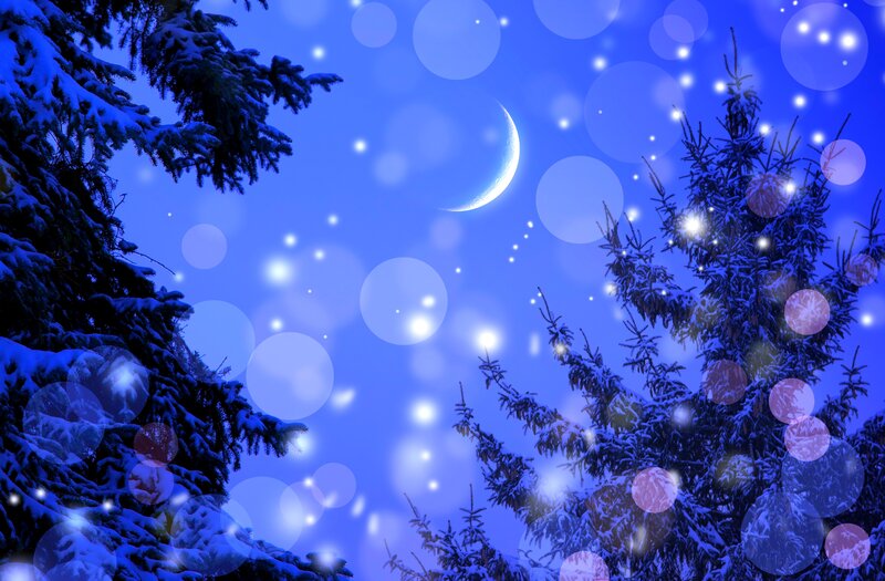 Snow-covered Pine Trees — Blue, Serene, Night, Digital Art, Moon, Snowflakes