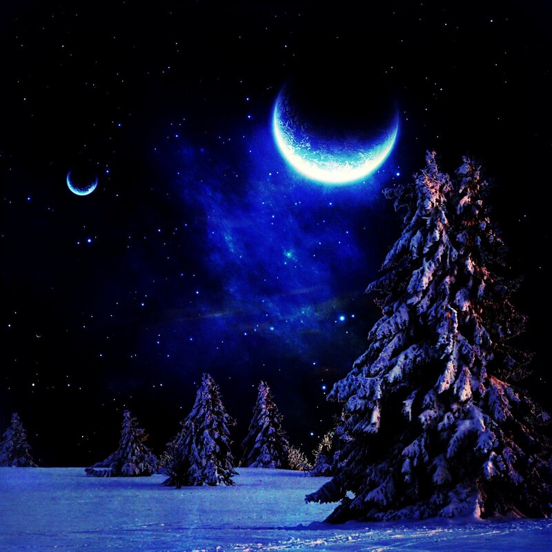 Snow-covered Pine Trees — Blue, Serene, Night, Digital Art, Moon, Stars, Snow