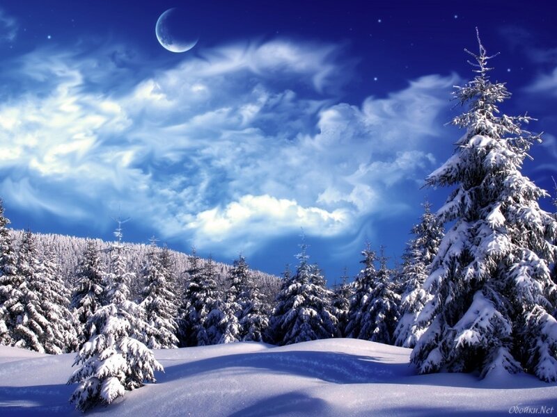 Snow-covered Pine Trees — Blue, Serene, Night, Digital Art, Moon
