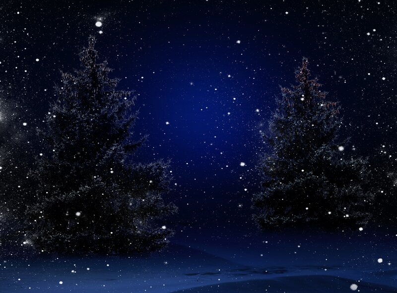 Snow-covered Pine Trees — Blue, Serene, Night, Digital Art, Night Sky