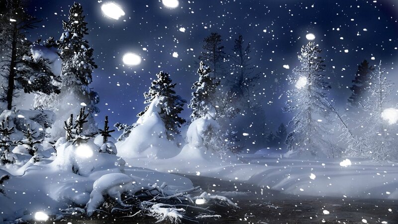 Snow-covered Pine Trees — Blue, Serene, Night, Digital Art, Snow