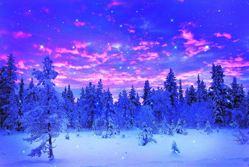 Snow-covered Pine Trees — Blue, Serene, Night, Digital Art, Stars, Clouds