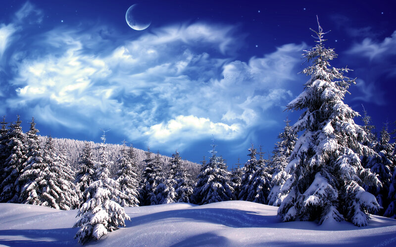 Snow-covered Pine Trees — Blue, Serene, Night, Digital Art