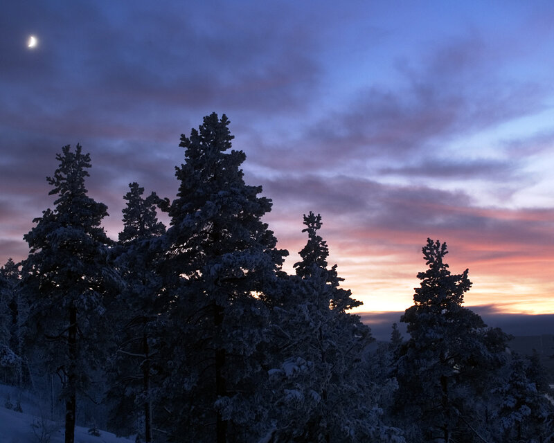 Snow-covered Pine Trees — Blue, Serene, Night, Photograph, Moon, Clouds, Sky, Purple, Orange