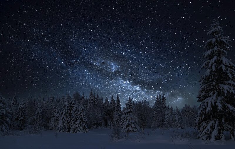 Snow-covered Pine Trees — Blue, Serene, Night, Photograph, Stars, Milky Way