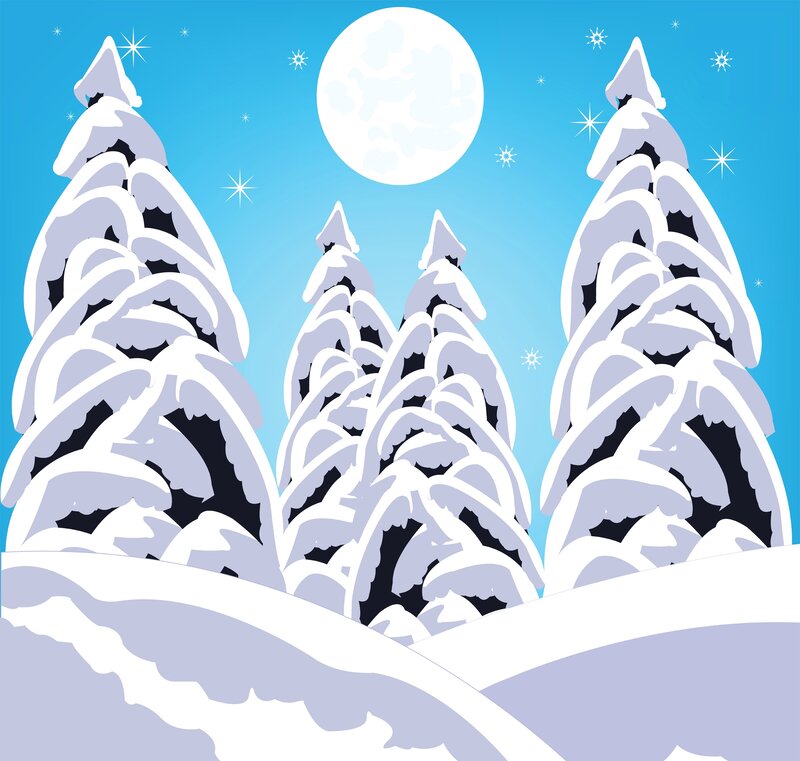 Snow-covered Pine Trees — Blue, Serene, Night, Vector Art