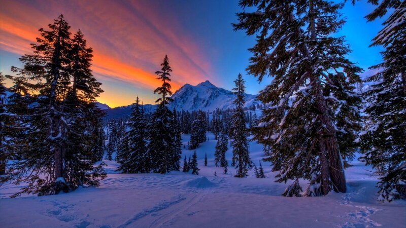 Snow-covered Pine Trees — Blue, Serene, Sunset, Photograph, Mountain, Sky