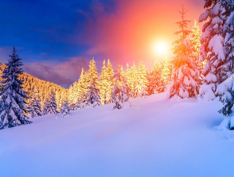 Snow-covered Pine Trees — Blue, Serene, Sunset, Photograph, Mountain, Sun, Sky