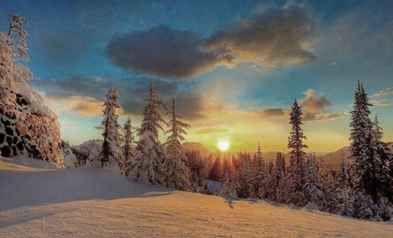 Snow-covered Pine Trees — Blue, Serene, Sunset, Photograph, Mountain, Sun