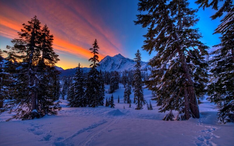 Snow-covered Pine Trees — Blue, Serene, Sunset, Photograph, Mountain
