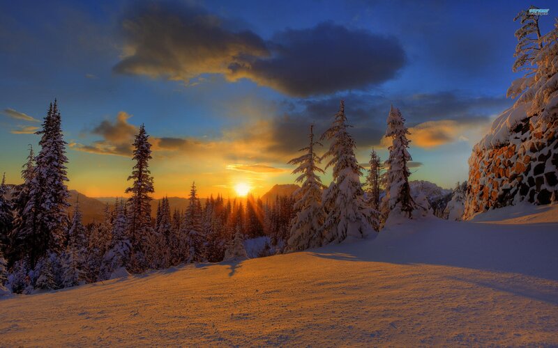 Snow-covered Pine Trees — Blue, Serene, Sunset, Photograph, Mountains, Clouds