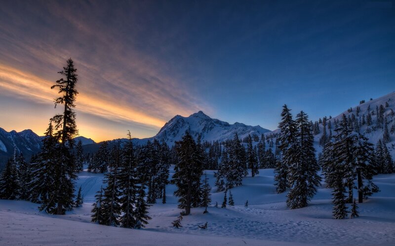 Snow-covered Pine Trees — Blue, Serene, Sunset, Photograph, Mountains