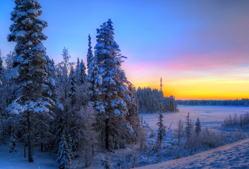 Snow-covered Pine Trees — Blue, Serene, Sunset, Photograph, Snow, Sky, Forest