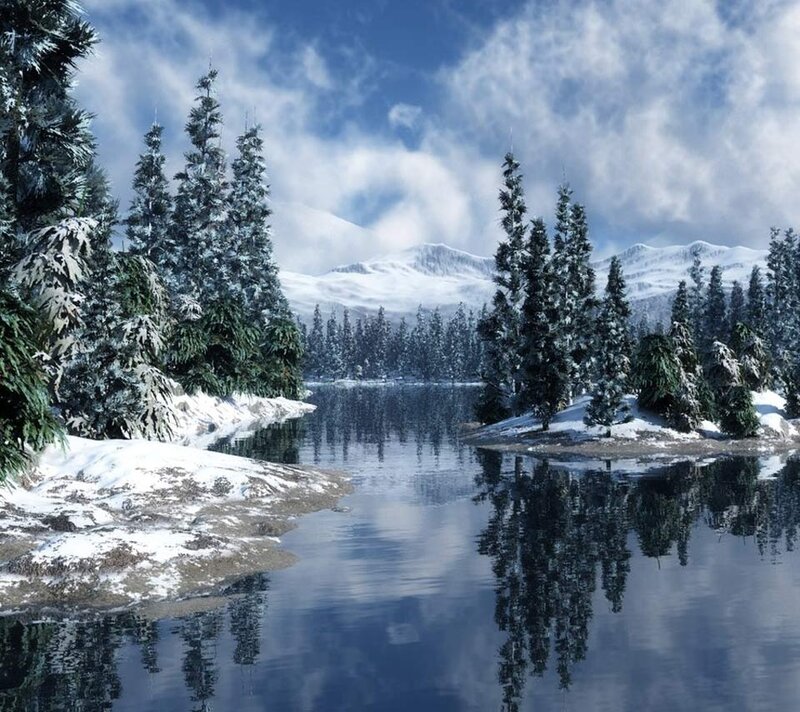 Snow-covered Pine Trees — Blue, Serene, Winter, 3d Render