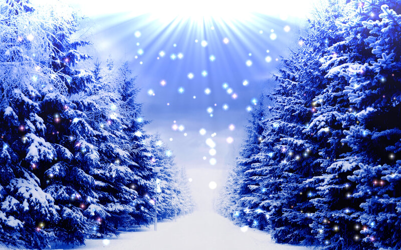 Snow-covered Pine Trees — Blue, Serene, Winter, Digital Art, Path