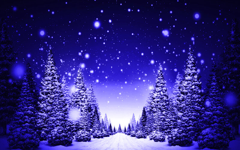 Snow-covered Pine Trees — Blue, Serene, Winter, Digital Art, Snow, Stars, Night Sky
