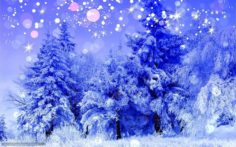 Snow-covered Pine Trees — Blue, Serene, Winter, Digital Art, Stars
