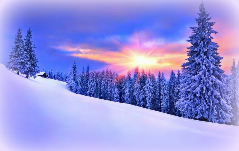 Snow-covered Pine Trees — Blue, Serene, Winter, Digital Art, Sunset
