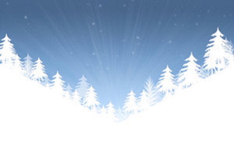 Snow-covered Pine Trees — Blue, Serene, Winter, Illustration