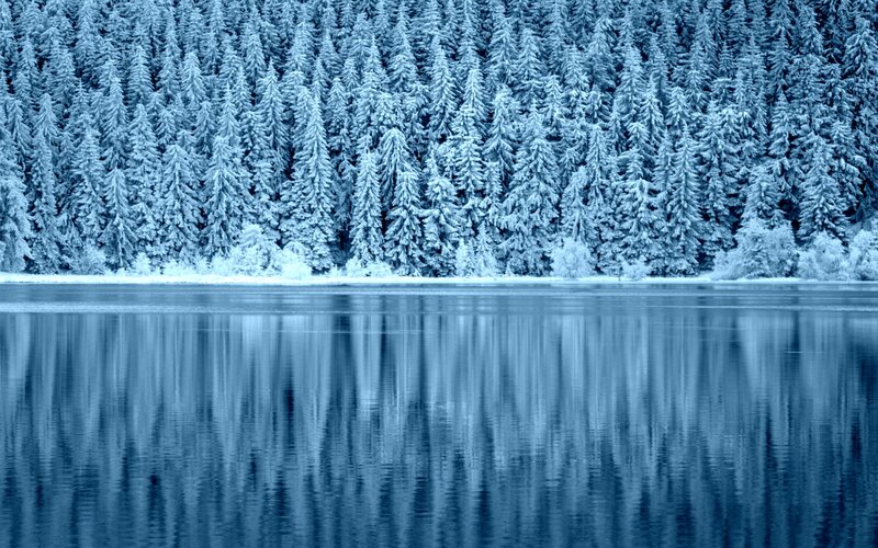 Snow-covered Pine Trees — Blue, Serene, Winter, Photograph, Lake, Reflection, Forest