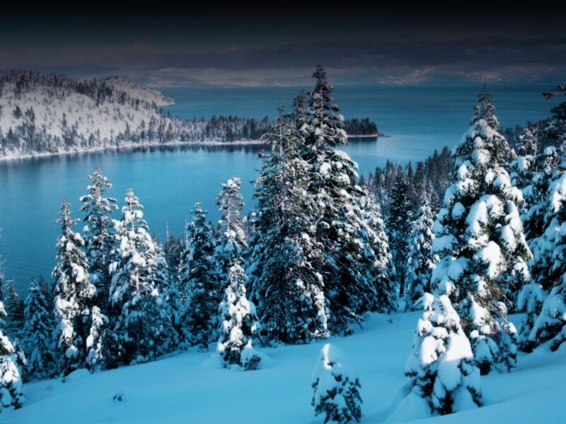 Snow-covered Pine Trees — Blue, Serene, Winter, Photograph, Lake