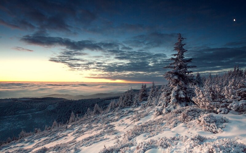 Snow-covered Pine Trees — Blue, Serene, Winter, Photograph, Mountain, Clouds