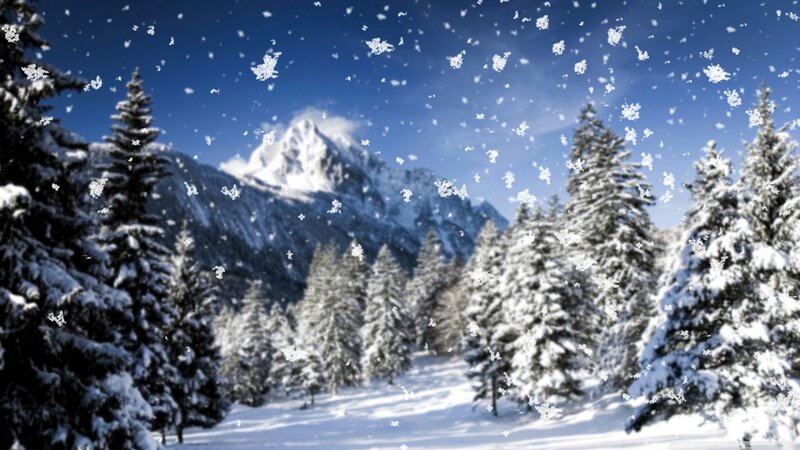 Snow-covered Pine Trees — Blue, Serene, Winter, Photograph, Mountain