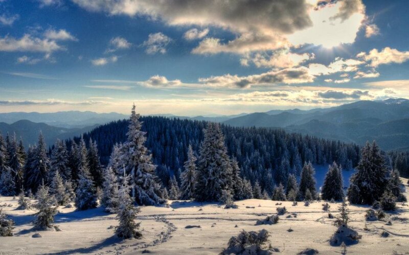 Snow-covered Pine Trees — Blue, Serene, Winter, Photograph, Mountains, Clouds, Sunlight