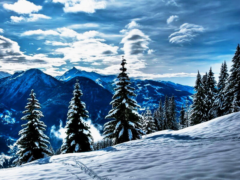 Snow-covered Pine Trees — Blue, Serene, Winter, Photograph, Mountains, Clouds