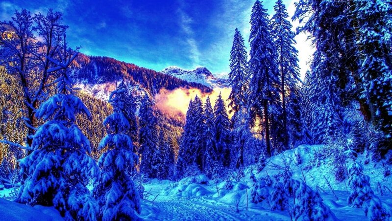 Snow-covered Pine Trees — Blue, Serene, Winter, Photograph, Mountains, Forest, Clouds