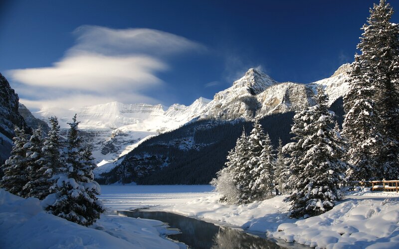 Snow-covered Pine Trees — Blue, Serene, Winter, Photograph, Mountains, Lake, Sky