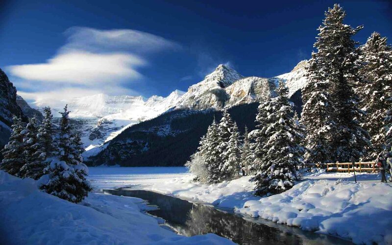 Snow-covered Pine Trees — Blue, Serene, Winter, Photograph, Mountains, River