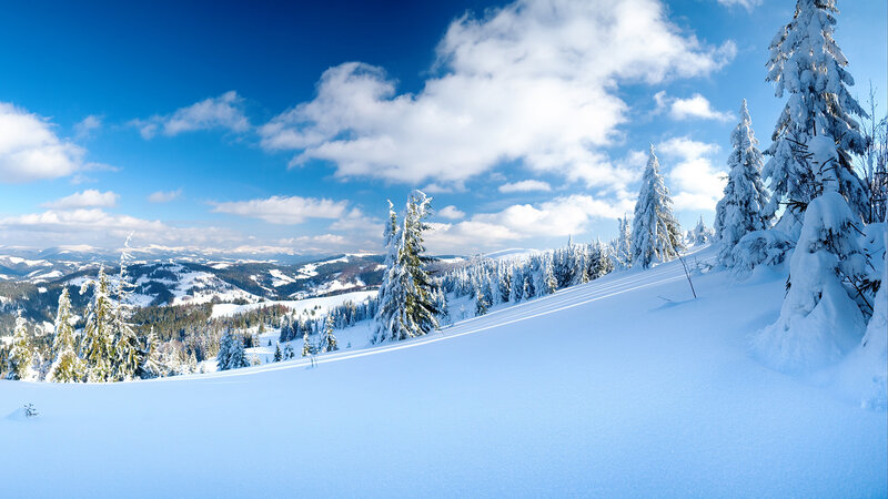 Snow-covered Pine Trees — Blue, Serene, Winter, Photograph, Mountains, Sky, Clouds, Forest