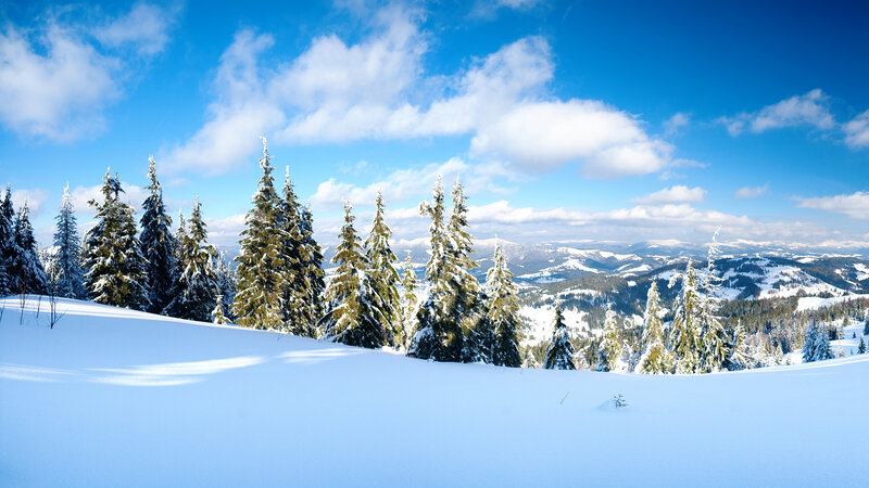 Snow-covered Pine Trees — Blue, Serene, Winter, Photograph, Mountains, Sky, Clouds
