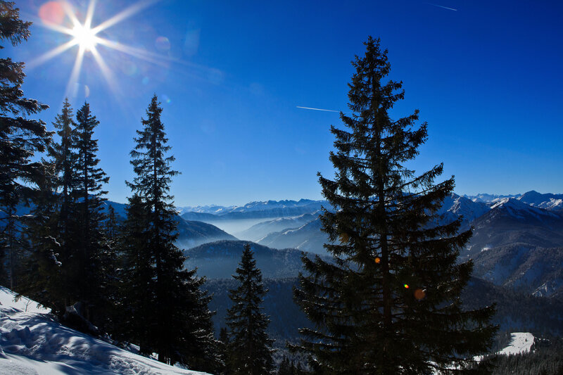 Snow-covered Pine Trees — Blue, Serene, Winter, Photograph, Mountains, Sun