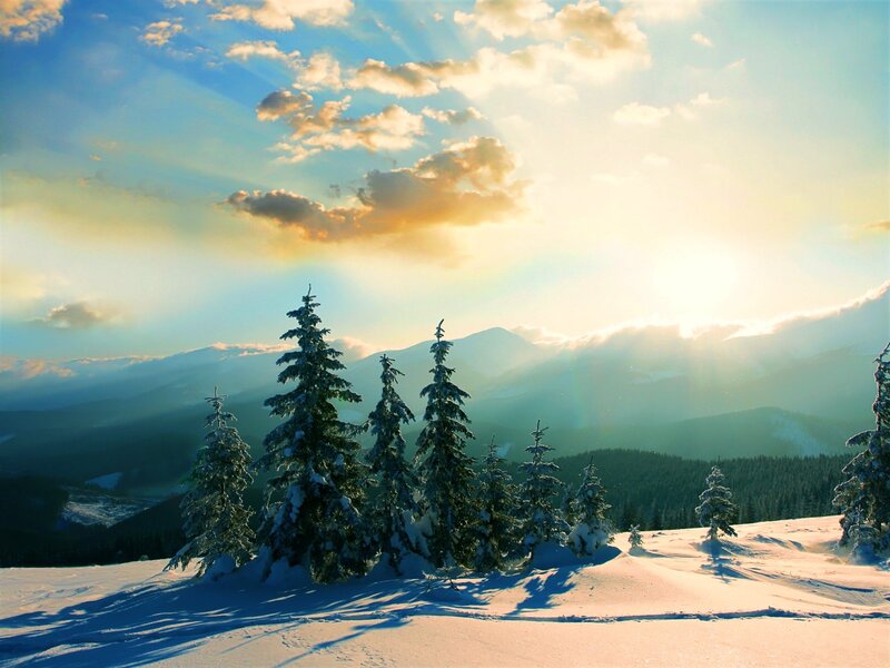 Snow-covered Pine Trees — Blue, Serene, Winter, Photograph, Mountains, Sunlight