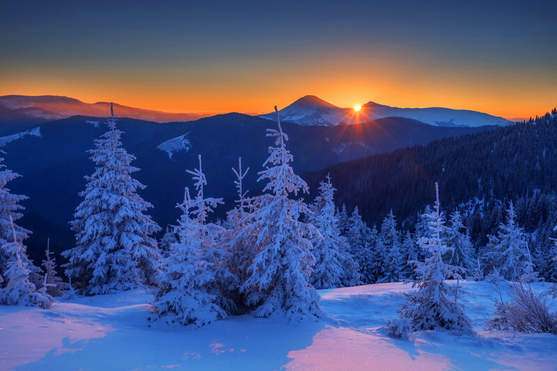 Snow-covered Pine Trees — Blue, Serene, Winter, Photograph, Mountains, Sunrise, Snow