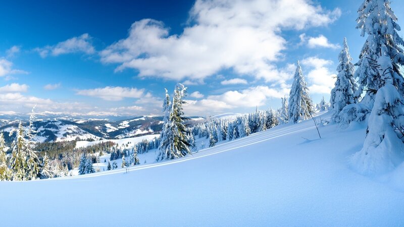Snow-covered Pine Trees — Blue, Serene, Winter, Photograph, Mountains