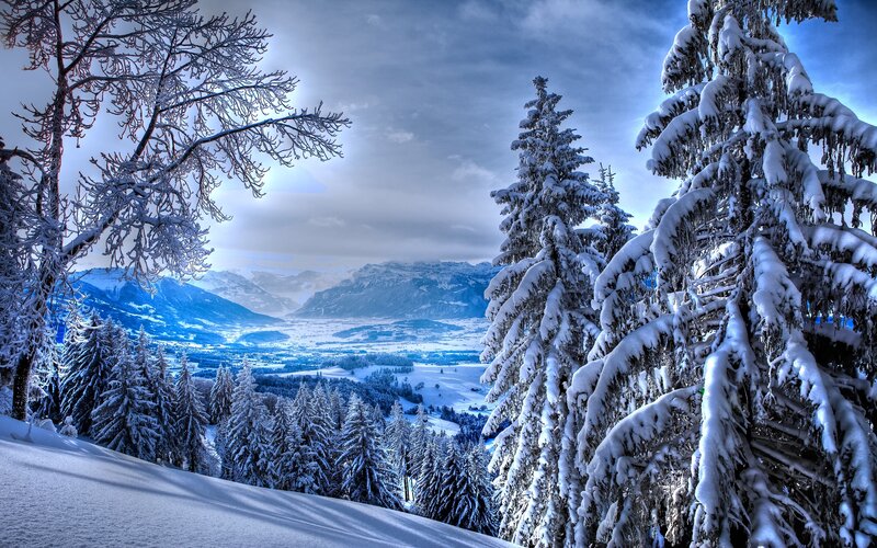 Snow-covered Pine Trees — Blue, Serene, Winter, Photograph, Mountains, Valley