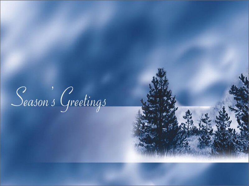 Snow-covered Pine Trees — Blue, Serene, Winter, Photograph, Sky