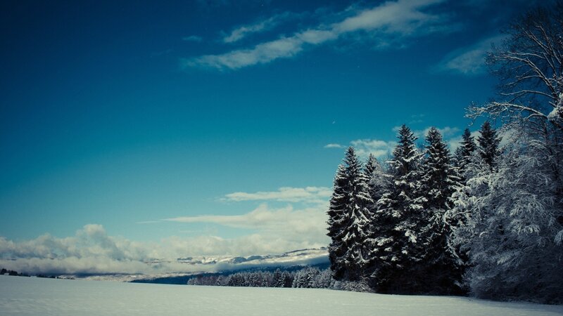 Snow-covered Pine Trees — Blue, Serene, Winter, Photograph, Snow, Mountains, Sky, White