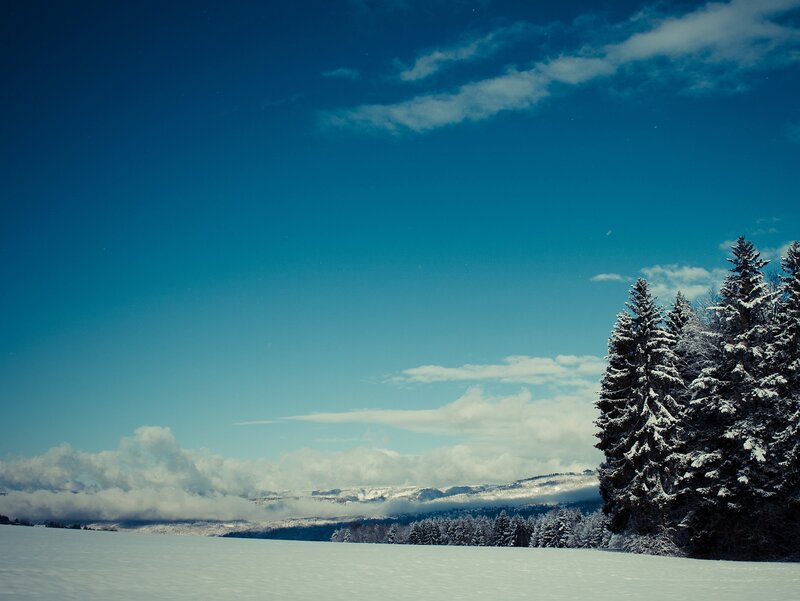Snow-covered Pine Trees — Blue, Serene, Winter, Photograph, Snow, Mountains